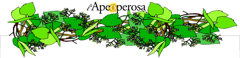 apeoperosa.it